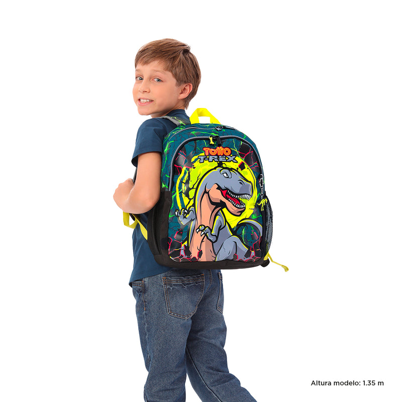 MORRAL SAURUS M