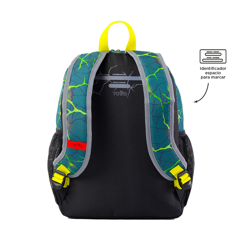 MORRAL SAURUS M