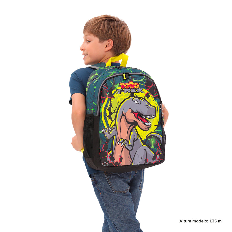 MORRAL SAURUS L