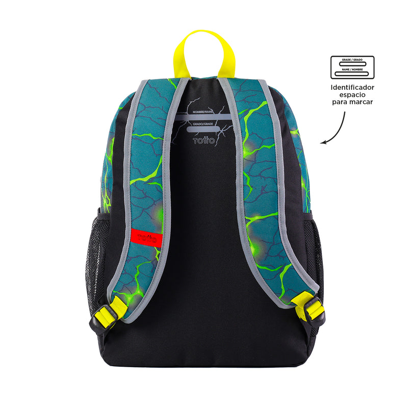 MORRAL SAURUS L